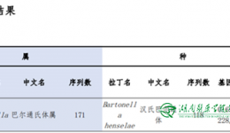 “擼”貓需謹(jǐn)慎！小心“貓抓病”
