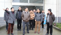 副市長王行水調(diào)研我院中方分院發(fā)展規(guī)劃