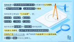 紀法百科丨黨的紀律